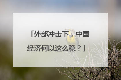 外部冲击下，中国经济何以这么稳？