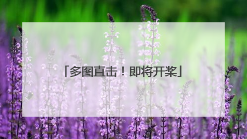 多图直击！即将开桨