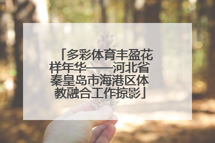 多彩体育丰盈花样年华——河北省秦皇岛市海港区体教融合工作掠影