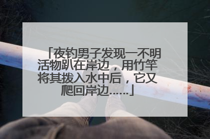 夜钓男子发现一不明活物趴在岸边，用竹竿将其拨入水中后，它又爬回岸边……