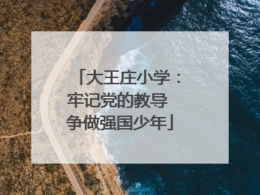 大王庄小学：牢记党的教导 争做强国少年