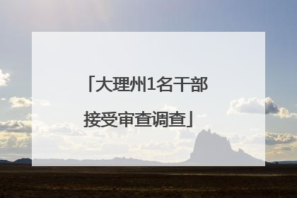 大理州1名干部接受审查调查