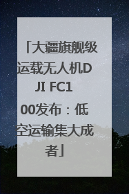 大疆旗舰级运载无人机DJI FC100发布：低空运输集大成者