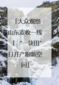 大众观察·山东麦收一线丨“一块田”打开产粮新空间