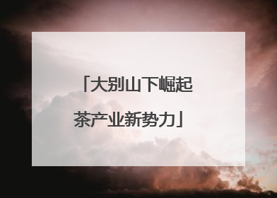 大别山下崛起茶产业新势力