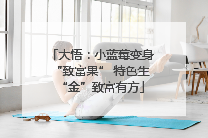 大悟：小蓝莓变身“致富果” 特色生“金”致富有方