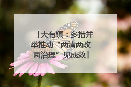大有镇：多措并举推动“两清两改两治理”见成效