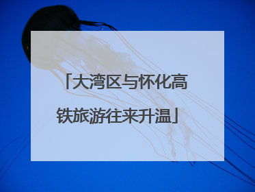 大湾区与怀化高铁旅游往来升温