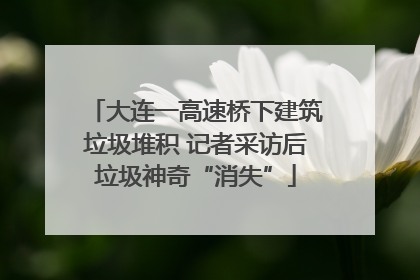 大连一高速桥下建筑垃圾堆积 记者采访后垃圾神奇“消失”