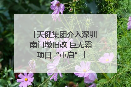 天健集团介入深圳南门墩旧改 巨无霸项目“重启”
