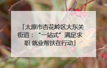 太原市杏花岭区大东关街道：“一站式”满足求职 就业帮扶在行动