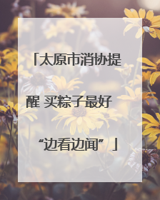 太原市消协提醒 买粽子最好“边看边闻”