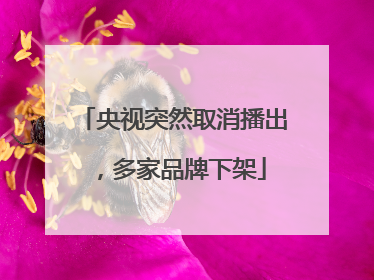 央视突然取消播出，多家品牌下架