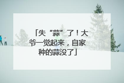 失“蒜”了！大爷一觉起来，自家种的蒜没了