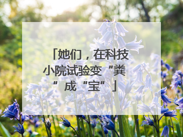 她们，在科技小院试验变“粪”成“宝”