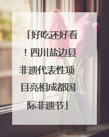 好吃还好看！四川盐边县非遗代表性项目亮相成都国际非遗节