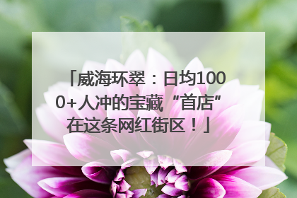 威海环翠：日均1000+人冲的宝藏“首店”在这条网红街区！