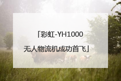 彩虹-YH1000无人物流机成功首飞