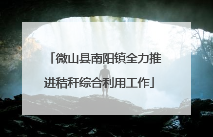 微山县南阳镇全力推进秸秆综合利用工作
