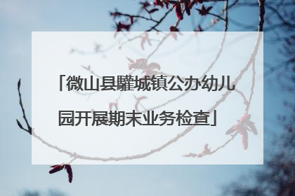 微山县驩城镇公办幼儿园开展期末业务检查