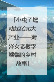 小虫子蠕动起亿元大产业——菏泽女老板李端端的乡村故事