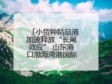 小货种精品港加速释放“长尾效应” 山东港口渤海湾港国际件杂货运业务