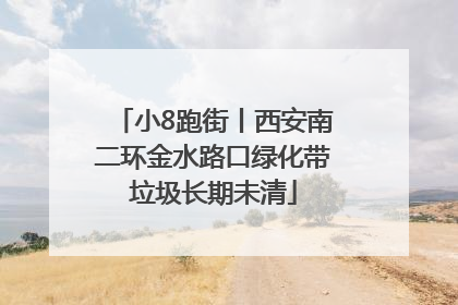 小8跑街丨西安南二环金水路口绿化带垃圾长期未清