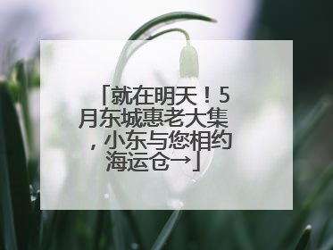 就在明天！5月东城惠老大集，小东与您相约海运仓→