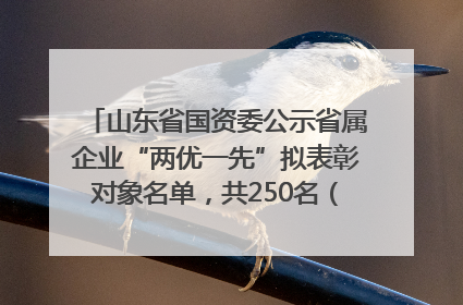 山东省国资委公示省属企业“两优一先”拟表彰对象名单，共250名（个）党员和党组织