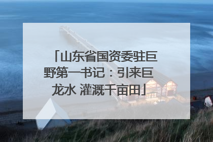 山东省国资委驻巨野第一书记：引来巨龙水 灌溉千亩田