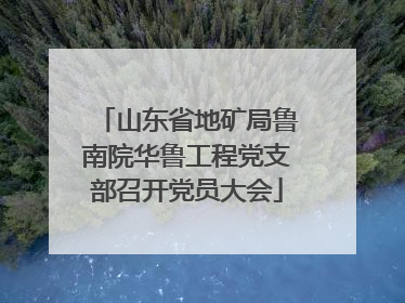 山东省地矿局鲁南院华鲁工程党支部召开党员大会