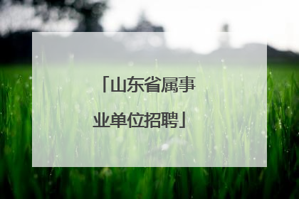 山东省属事业单位招聘