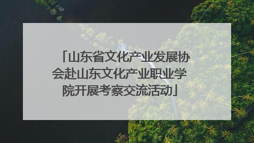 山东省文化产业发展协会赴山东文化产业职业学院开展考察交流活动