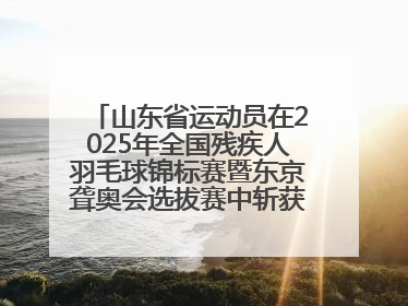 山东省运动员在2025年全国残疾人羽毛球锦标赛暨东京聋奥会选拔赛中斩获3银1铜