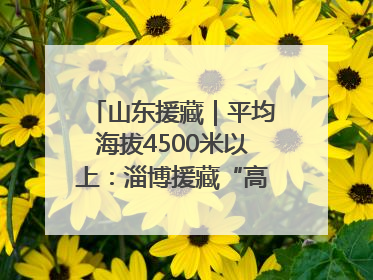 山东援藏｜平均海拔4500米以上：淄博援藏“高”在哪里？