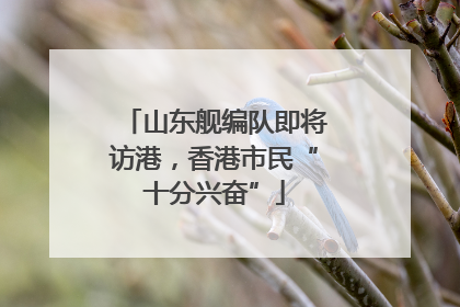 山东舰编队即将访港，香港市民“十分兴奋”