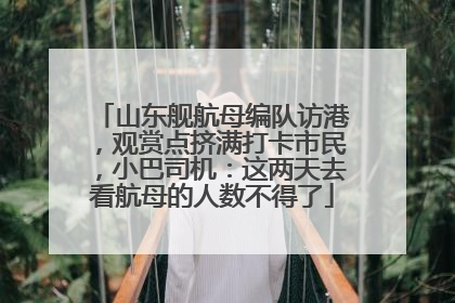 山东舰航母编队访港，观赏点挤满打卡市民，小巴司机：这两天去看航母的人数不得了