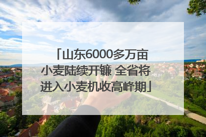 山东6000多万亩小麦陆续开镰 全省将进入小麦机收高峰期