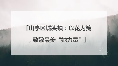 山亭区城头镇：以花为笺，致敬最美“她力量”
