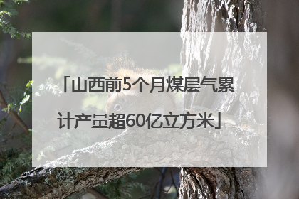山西前5个月煤层气累计产量超60亿立方米