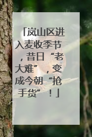 岚山区进入麦收季节，昔日“老大难”，变成今朝“抢手货”！