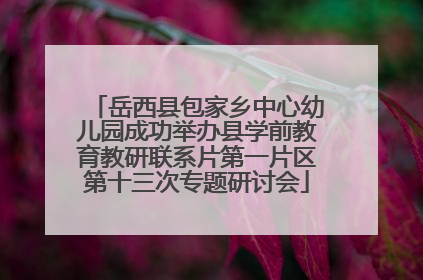 岳西县包家乡中心幼儿园成功举办县学前教育教研联系片第一片区第十三次专题研讨会