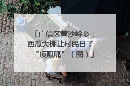 广信区黄沙岭乡：西瓜大棚让村民日子“顶呱呱”（图）