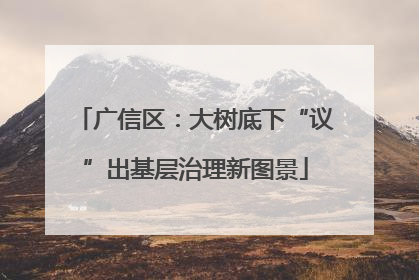 广信区：大树底下“议”出基层治理新图景
