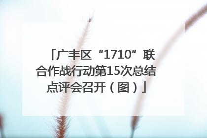 广丰区“1710”联合作战行动第15次总结点评会召开（图）