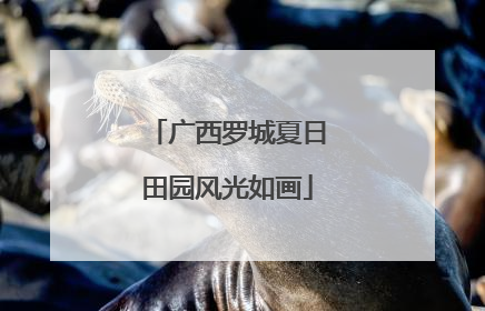 广西罗城夏日田园风光如画