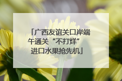 广西友谊关口岸端午通关“不打烊” 进口水果抢先机