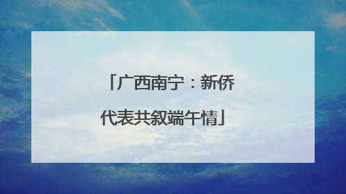 广西南宁：新侨代表共叙端午情