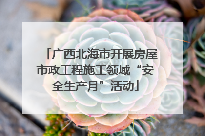 广西北海市开展房屋市政工程施工领域“安全生产月”活动