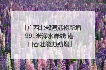 广西北部湾港将新增991米深水岸线 港口吞吐能力劲增